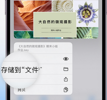 东兴apple维修中心分享iPhone文件应用中存储和找到下载文件