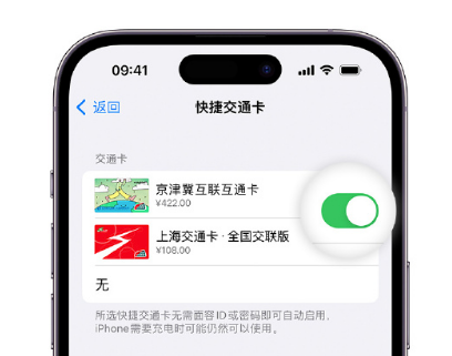 东兴apple维修点分享iPhone上更换Apple Pay快捷交通卡手绘卡面 