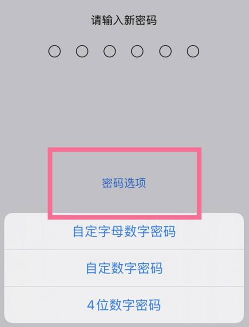 东兴苹果14维修分享iPhone 14plus设置密码的方法 