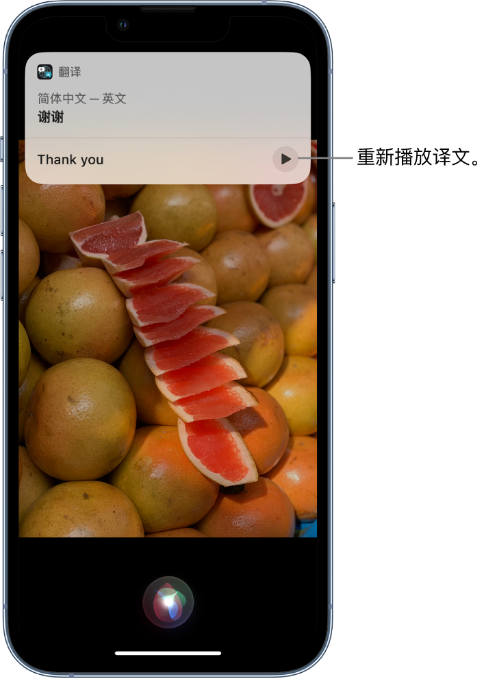 东兴苹果14维修分享 iPhone 14 机型中使用 Siri：了解 Siri 能帮你做什么 