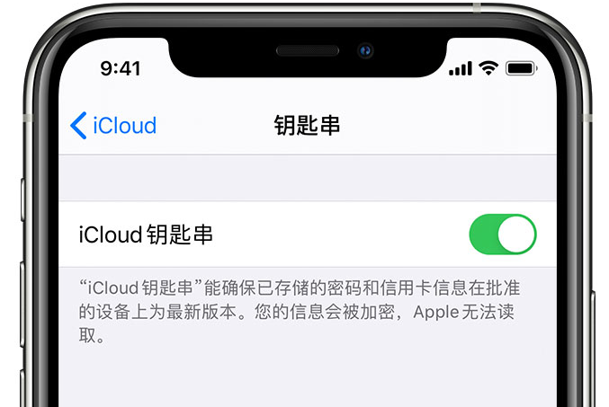 东兴苹果手机维修分享在 iPhone 上开启 iCloud 钥匙串之后会储存哪些信息 