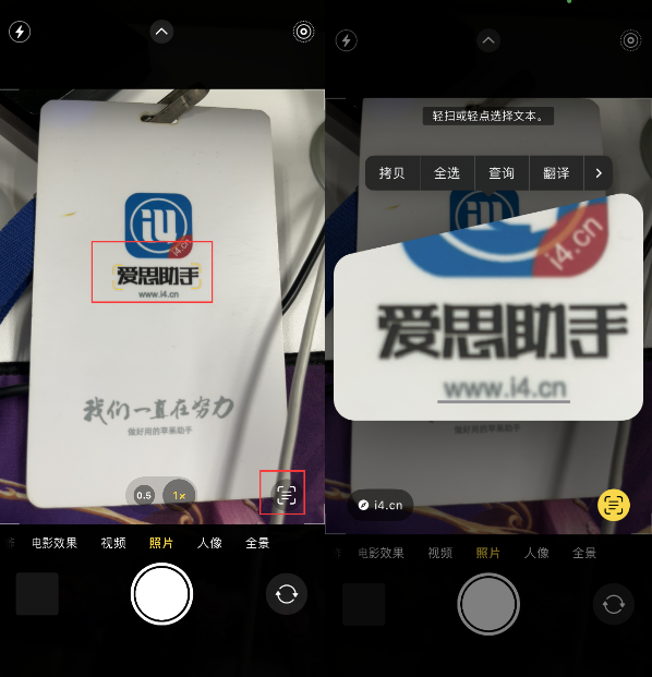 东兴苹果手机维修分享升级iOS 16后如何通过相机翻译文本 