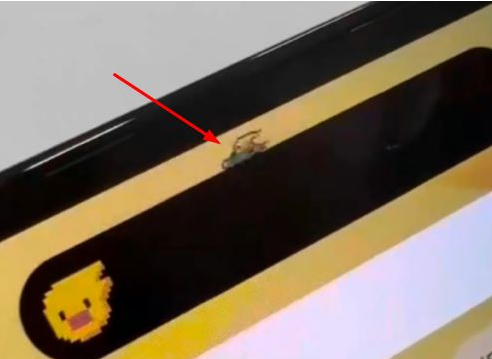 东兴苹果14维修分享iPhone 14 Pro Max灵动岛怎么养宠物 