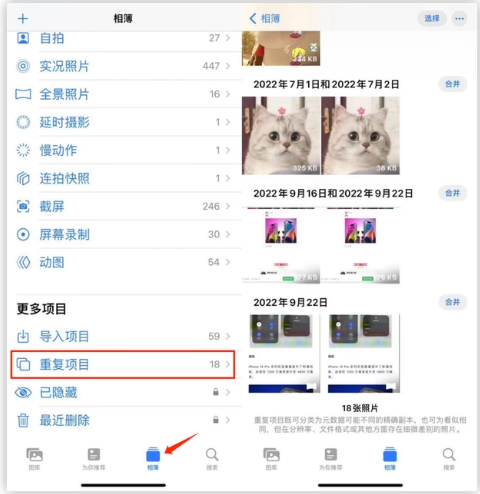 东兴苹果手机维修分享iOS 16 中相册重复项目功能使用方法 