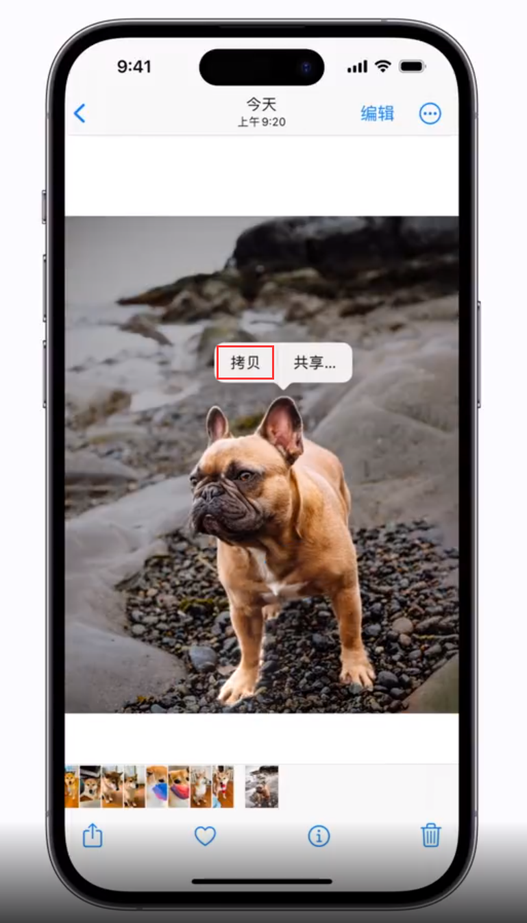 东兴苹果手机维修分享 iOS 16 自带一键抠图功能 