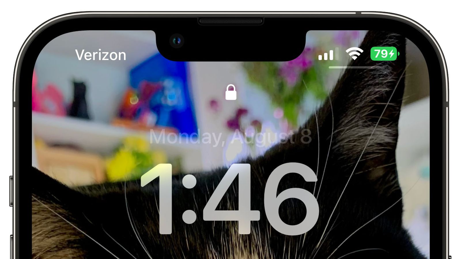 东兴苹果手机维修分享iOS 16 beta 5 支持状态栏显示电池百分比，如何开启？支持哪些机型 