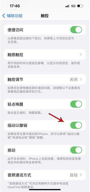 东兴苹果手机维修分享iPhone手机如何设置摇一摇删除文字 