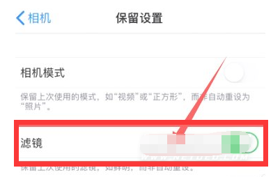 东兴苹果13维修分享iPhone13拍照有绿点是怎么回事 