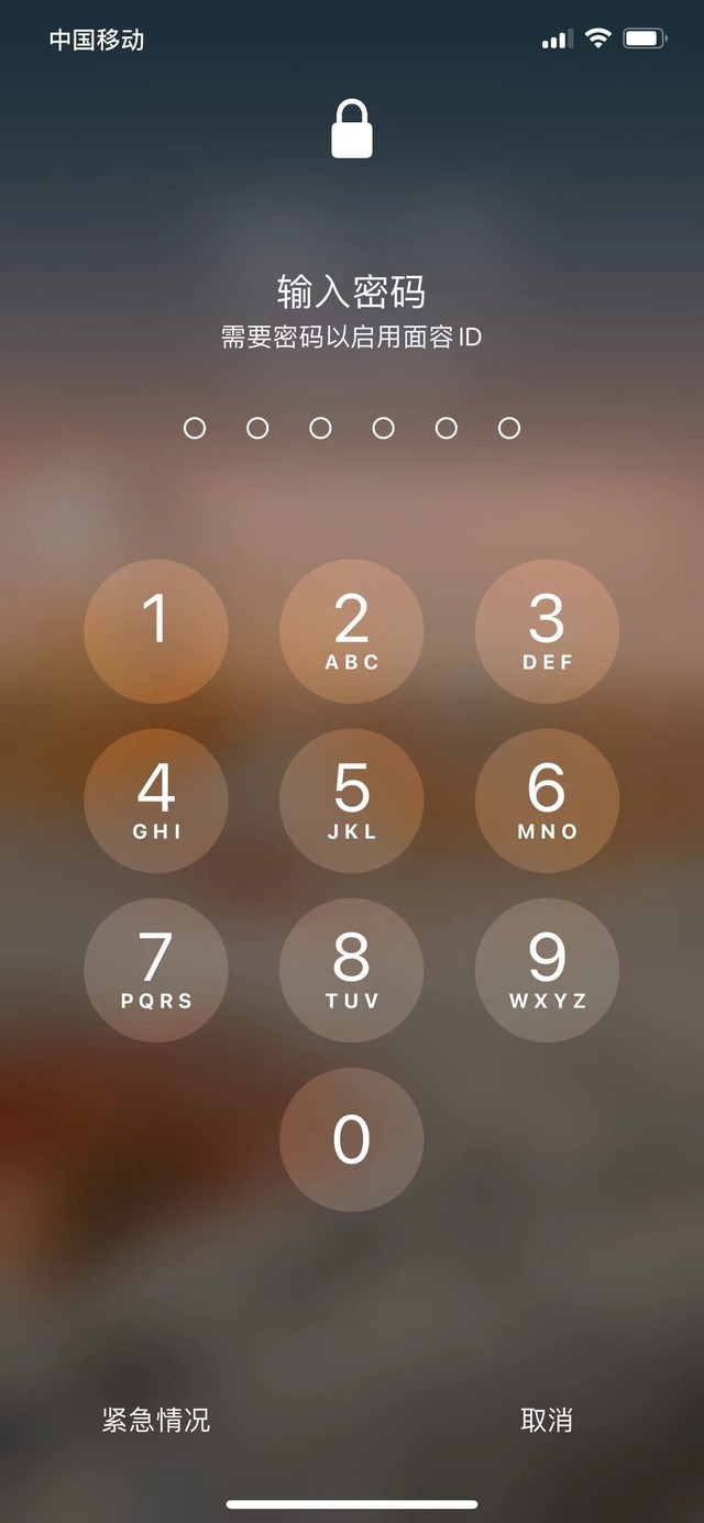 东兴苹果13维修分享iPhone 13加强锁屏功能有什么用 