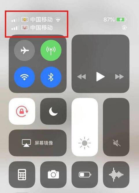 东兴苹果手机维修分享为 iPhone 12 双卡设置标签 