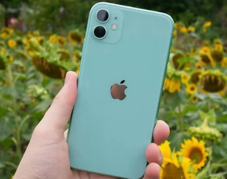 东兴苹果维修点分享iPhone 11锁屏密码认知与使用科普 